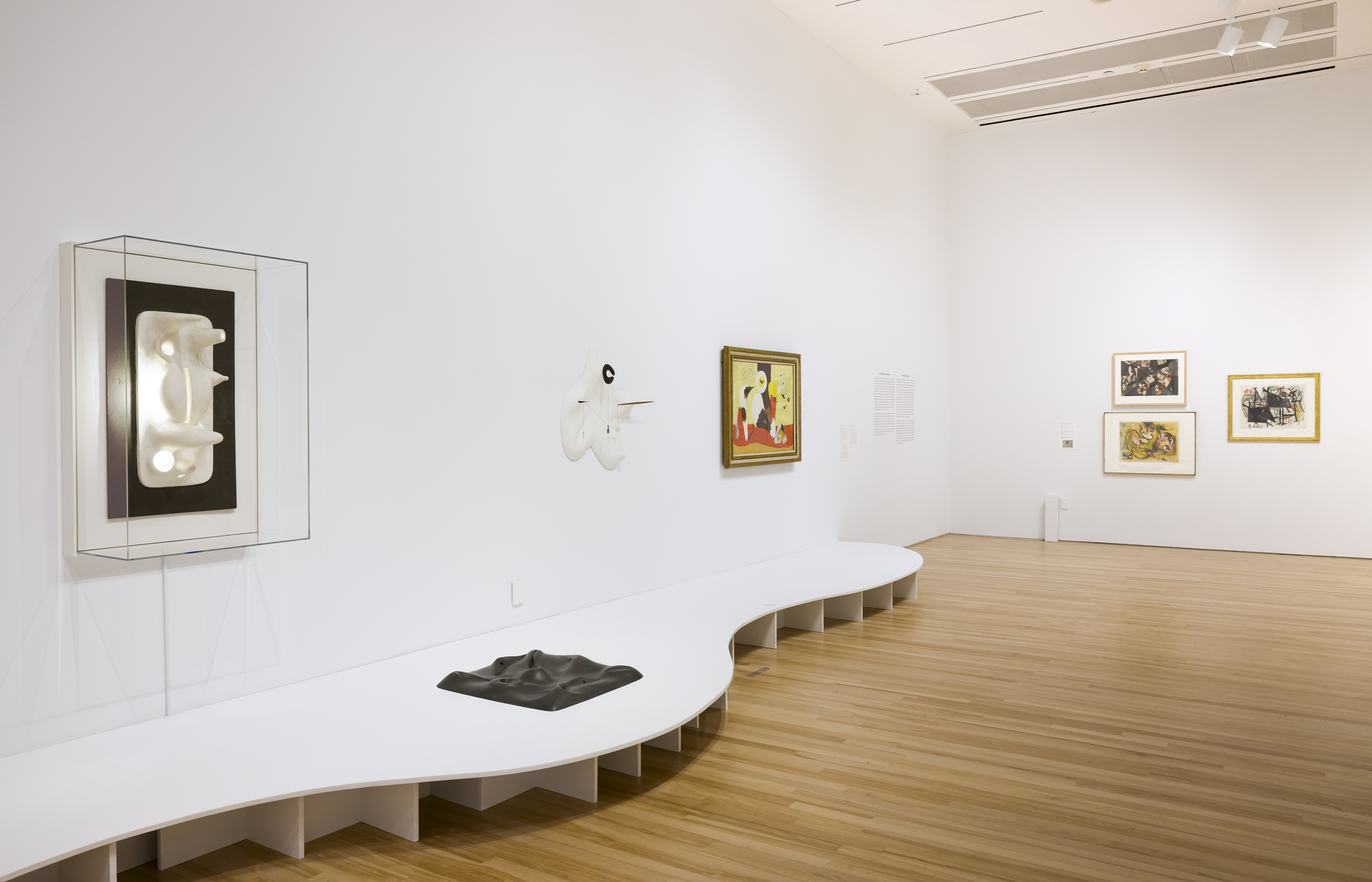 Installation photograph: In Creative Harmony: Three Artistic Partnerships at Blanton Museum of Art, the University of Texas at Austin, February 16&ndash;July 20, 2025. Courtesy Blanton Museum of Art. Photo by Taryn Mills.