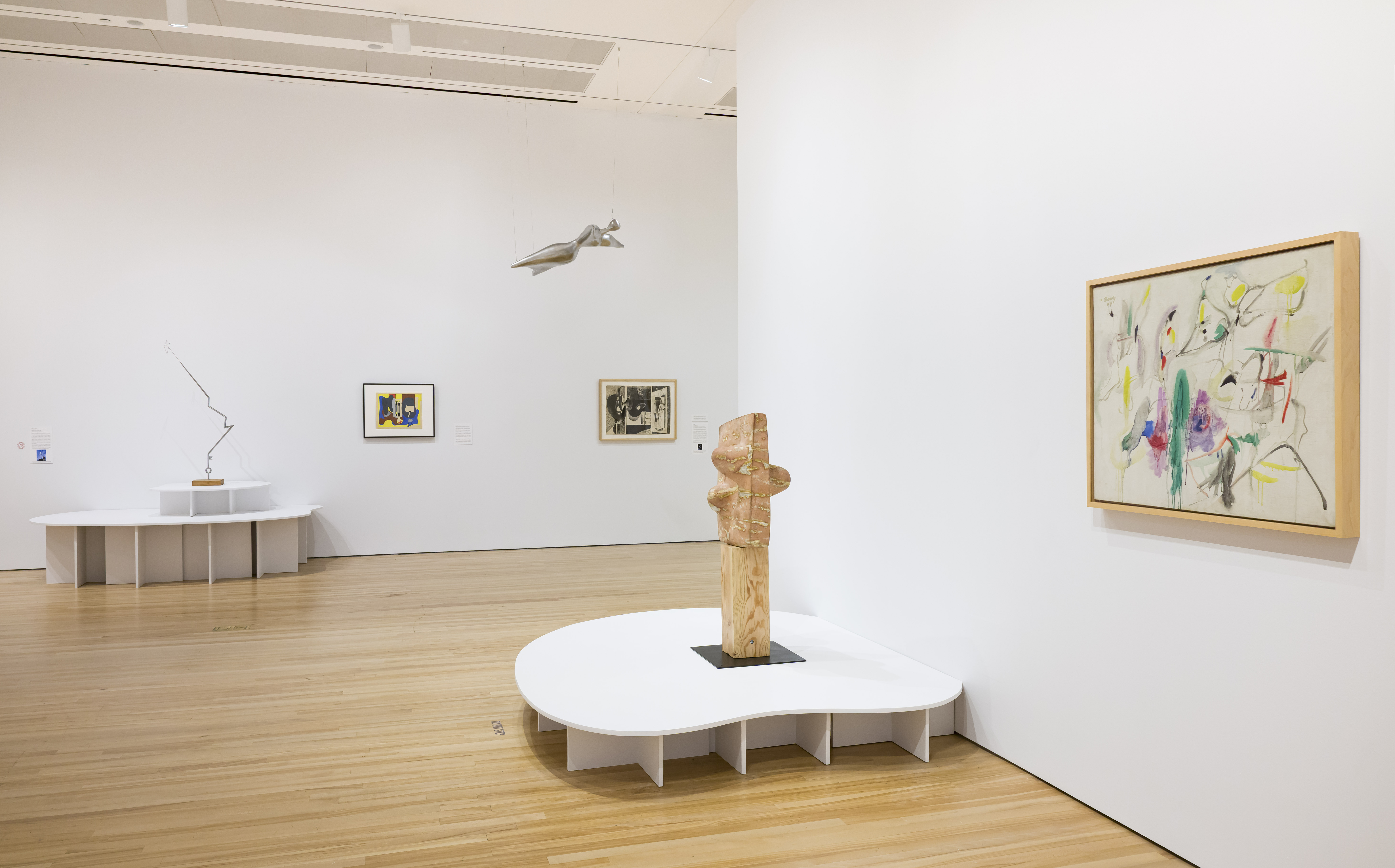 Installation photograph: In Creative Harmony: Three Artistic Partnerships at Blanton Museum of Art, the University of Texas at Austin, February 16&ndash;July 20, 2025. Courtesy Blanton Museum of Art. Photo by Taryn Mills.