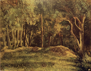 Sous-bois, 1862–64 (14-TA) Sous-bois, 1862–64 (14-TA)