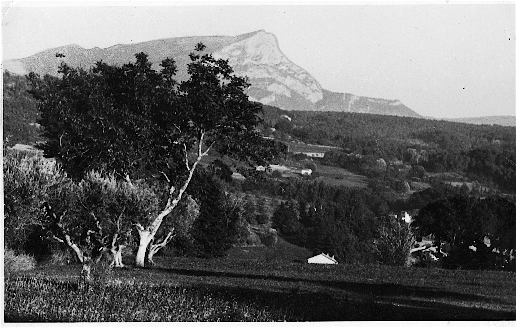 La Montagne SainteVictoire vue des Lauves, c.1902 (FWN 1482TA) Catalogue entry The