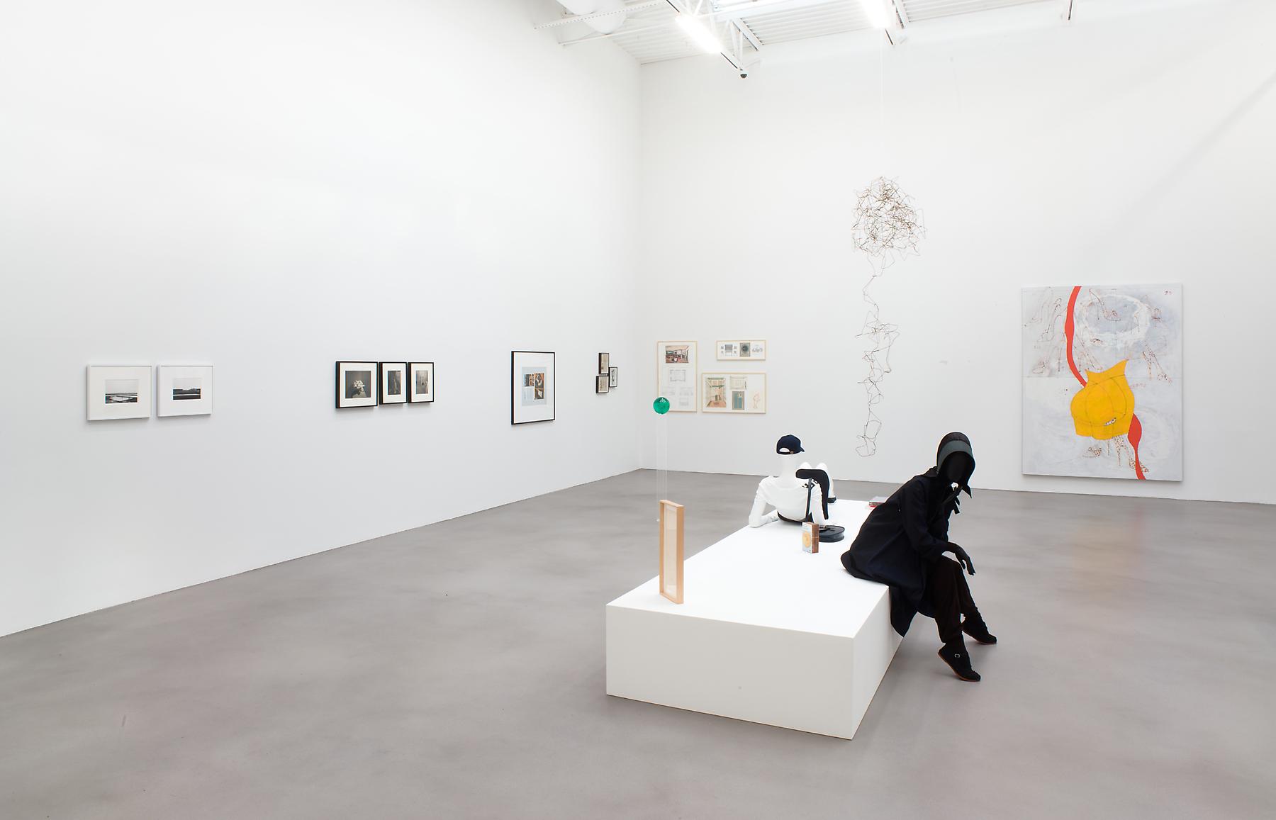 Installation photograph: Installation view of "A Machinery for Living, Organized by Walead Beshty" exhibition. Courtesy Petzel Gallery.