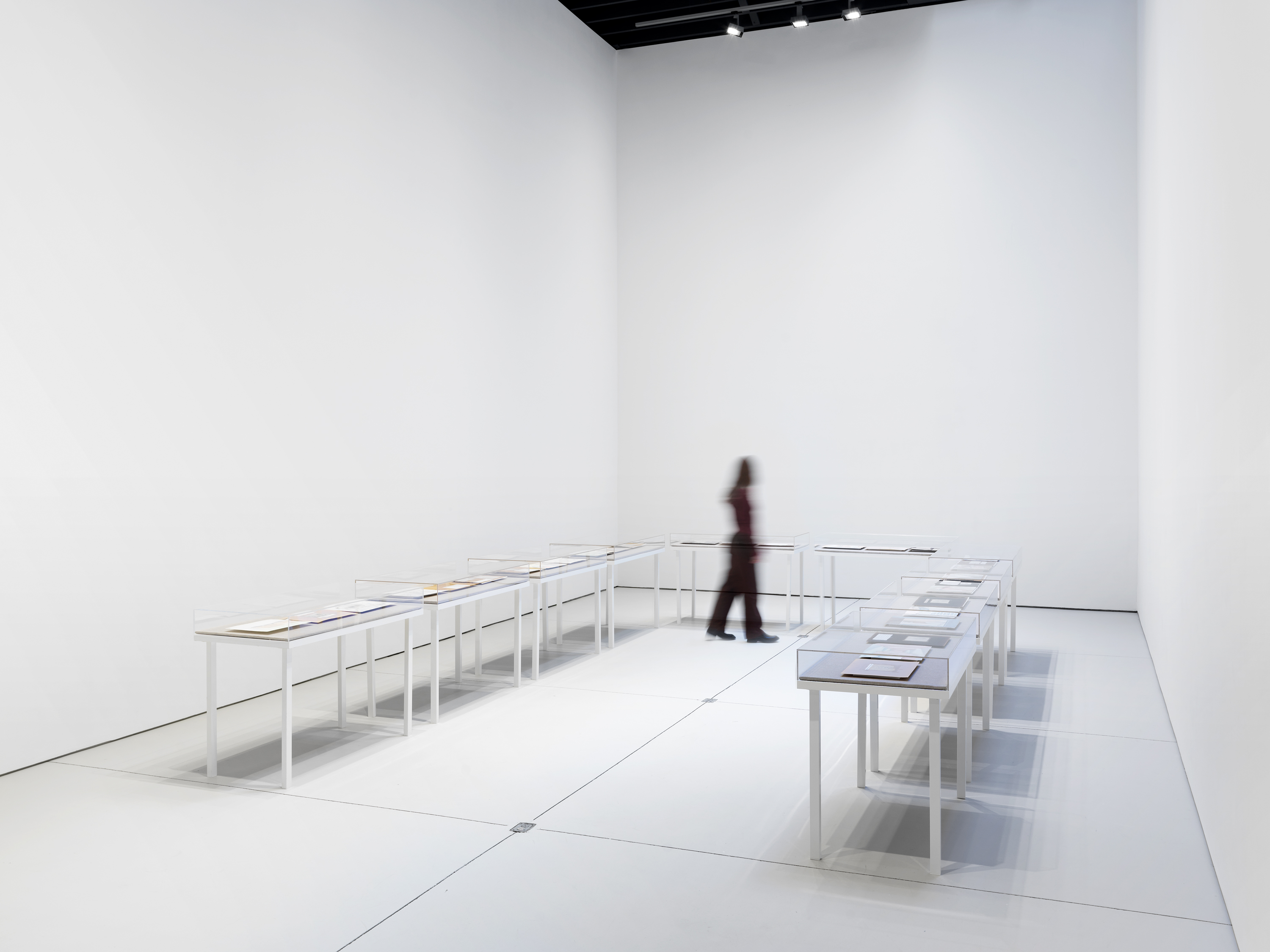 Installation photograph: 