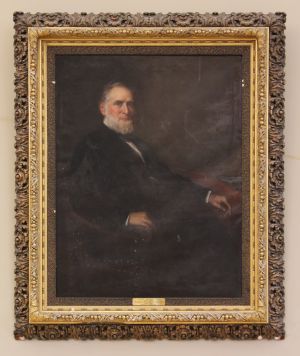 Henry Williams Sage, 1883 (31.1.189) Henry Williams Sage, 1883 (31.1.189)