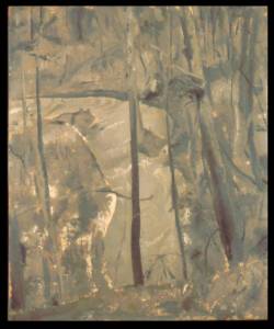 The Glen, Brook, 1930 (Catalogue no. 184)
