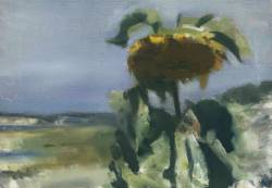 Sunflower, 1941 (Catalogue no. 423)
