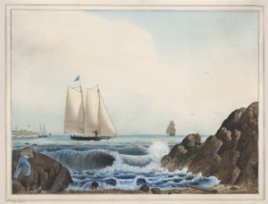 Shooting Seabirds, c.1842 (inv. 789)