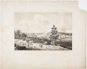Burbankville to Blackstone River, n.d. (inv. 366)