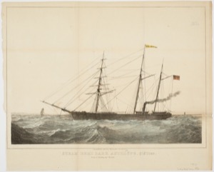 Steam demi bark Antelope, 615 tons, c.1855 (inv. 375)