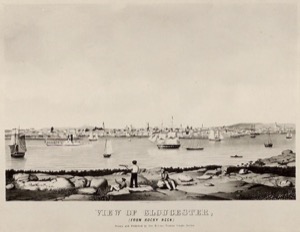 View of Gloucester, (From Rocky Neck), 1846 (inv. 409)
