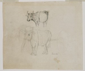 Two Oxen, 1850s (inv. 122)