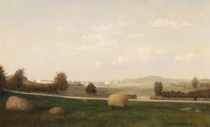 The Babson Meadows at Riverdale, 1863 (inv. 11)