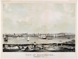 View of Gloucester, (From Rocky Neck), 1846 (inv. 92)
