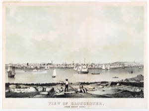 View of Gloucester, (From Rocky Neck), 1846 (inv. 354)
