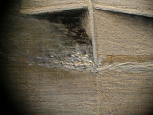 Boston Harbor, 1856 (inv. 203). Conservation photo (detail of bow spray)