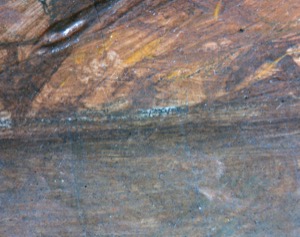 Watch House Point, 1860 (inv. 292). Microscope detail