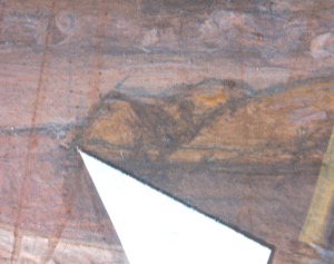 Watch House Point, 1860 (inv. 292). Microscope detail showing pinprick