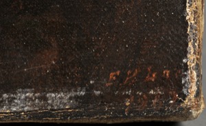 Camden Mountains from the Graves, 1862 (inv. 331). Detail of signature