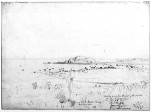 Brace's Rock, Eastern Point, 1863 (inv. 146). grayscale image