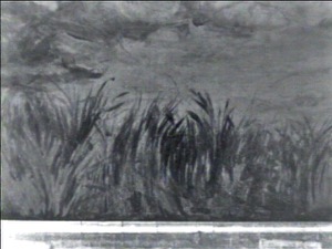 The Western Shore with Norman's Woe, 1862 (inv. 18). Infrared image (detail of grass in foreground)