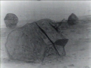 The Western Shore with Norman's Woe, 1862 (inv. 18). Infrared image (detail)
