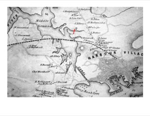Town Parish, 1863 (inv. 127). Map showing Lane's viewpoint
