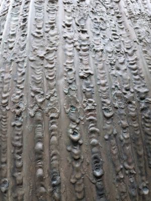 Interrupted Flight, 1975 (S.WF.149). Detail