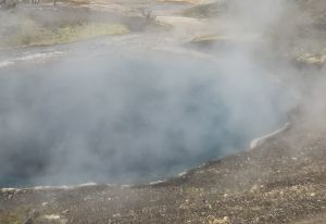 Edge of the Emerald Pool, Yellowstone, ca. 1895 (OP.1313). Fig. 1. The Emerald Pool, Upper Geyser Basin, Yellowstone National Park