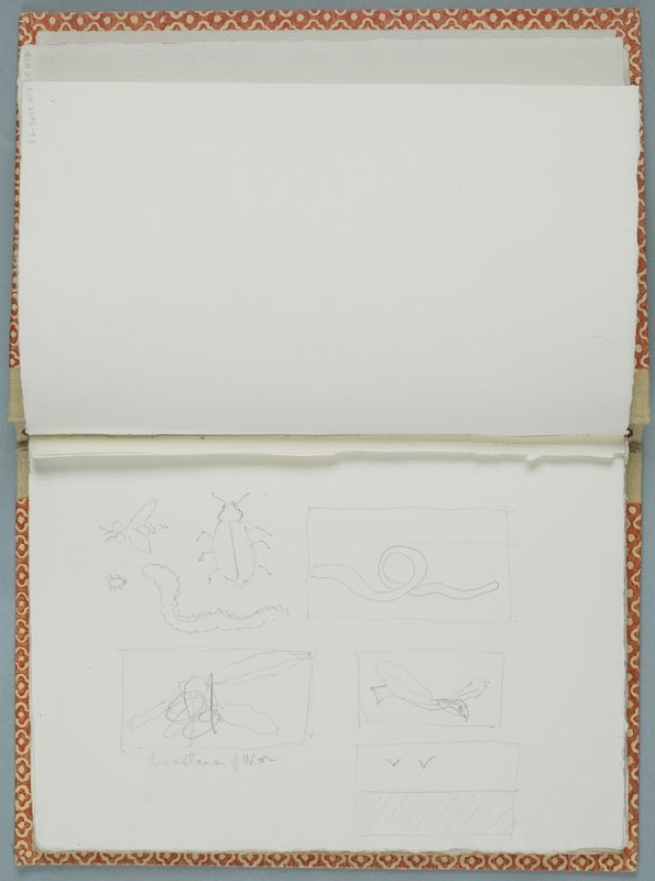 Artwork: International Bird Museum (Study), 1993 (RLCR 3002.5)