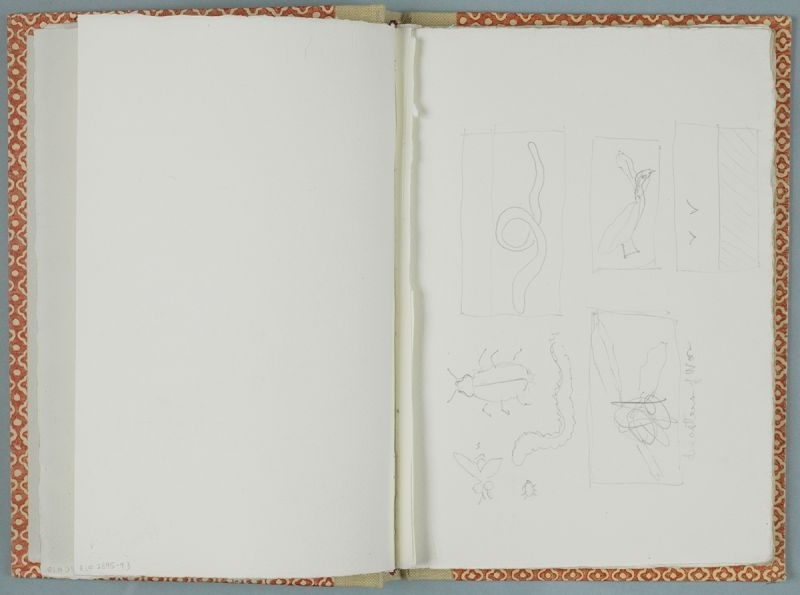 Artwork: International Bird Museum (Study), 1993 (RLCR 3002.5)