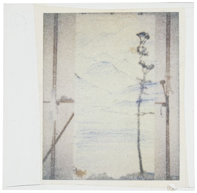 Artwork: Landscape with Tall Tree (Study), c. 1996 (RLCR 4779)