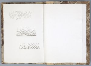 Artwork: Dot Pattern (Studies), c. 1980–89 (RLCR 3001.16)