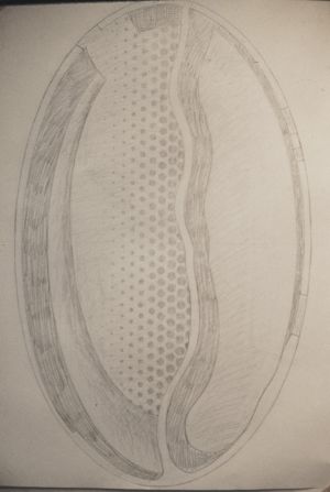 Artwork: Mirror Relief (Study), 1978 (RLCR 2743)
