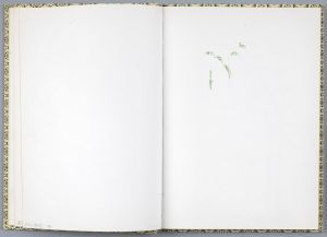 Artwork: Landscape with Grass (Study), c. 1996 (RLCR 4424.3)