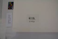 Bedroom (Study), 1991 (RLCR 4000). Label on verso