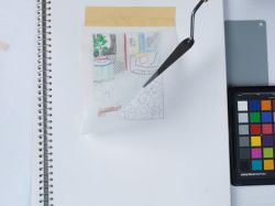 Interior with Matisse Carpet (Study), 1997 (RLCR 4749.3). Partial view of graphite pencil drawing beneath tracing paper