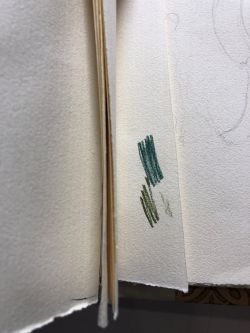 Piazzesi Romboli Sketchbook, Drawings in this book c. 1982–93 (RLCR 3181). Colored pencil marks on a stub where the artist removed a drawing (between pages 23 and 24)