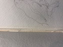 Piazzesi Pavone Sketchbook, Drawings in this book c. 1980–89, 1994 (RLCR 3001). Graphite pencil marks on a stub where the artist removed a drawing (between pages 13 and 14)