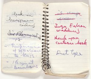 Mead Memo Book, Drawing in this book c. 1991–94 (RLCR 4097). Page 8v and page 9r