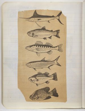 Jericho Compositions Notebook, Drawings in this book c. 1970–76 (RLCR 1923). Page 23v