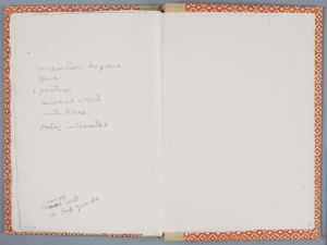 Piazzesi Rombetti Sketchbook, Drawings in this book c. 1980, c. 1990–94 (RLCR 3002). Notes by the artist (page 39v)