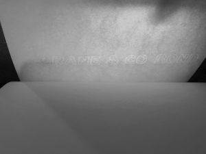 Crane & Co. Sketchbook, Drawings in this book 1982 (RLCR 3114). "CRANE & CO BOND DALTON MASS." watermark (partial)