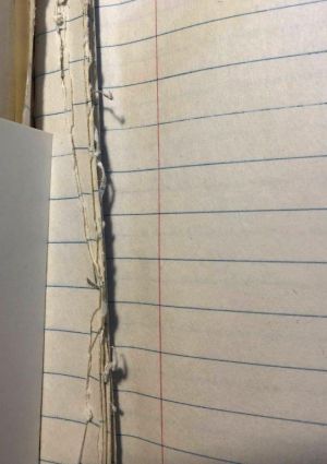 Compositions Sketchbook, Drawings in this book c. 1967, c. 1989 (RLCR 1511). Graphite pencil marks on a stub where the artist removed a drawing (between front cover and page 1)