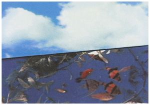 Three Landscapes, 1970–71 Still from Loop 3, Sky with Clouds over Tropical Fish in Tank