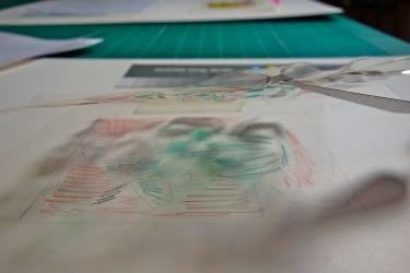 Flowers Series (Study), 1981 (RLCR 3022). Detail