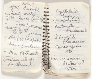 Mead Memo Book, Drawing in this book c. 1991–94 (RLCR 4097). Page 6v and page 7