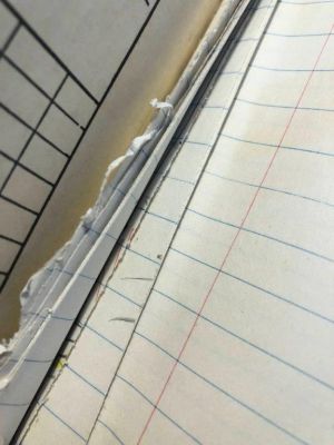 Compositions Sketchbook, Drawings in this book c. 1967, c. 1989 (RLCR 1511). Graphite pencil marks on stubs where the artist removed drawings (between front cover and page 1)