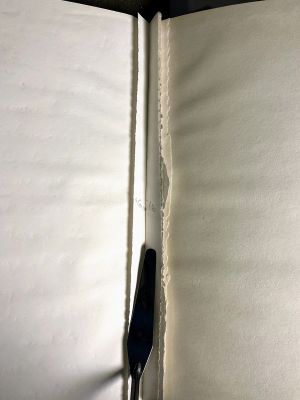 Winsor & Newton Medium Sketchbook [2], Drawing originating in this book 1996, drawings likely originating in this book c. 1976–78, c. 1991–97 (RLCR 2536). Graphite pencil marks on stubs where the artist removed drawings (between pages 43 and 44)