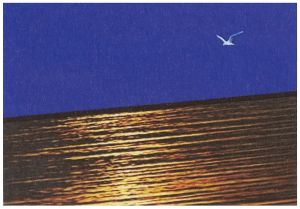 Three Landscapes, 1970–71 Still from Loop 2, Bird over Water