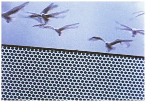 Three Landscapes, 1970–71 Still from Loop 4, Birds over Dots