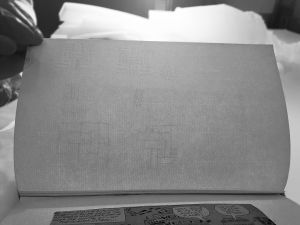 NY Central Beige Sketchbook [2], Drawings in this book c. 1987–96 (RLCR 3690). Laid paper structure (front of text block)